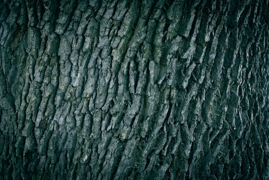 Detailed close-up of an oak tree bark, showcasing rough texture and moody tones.